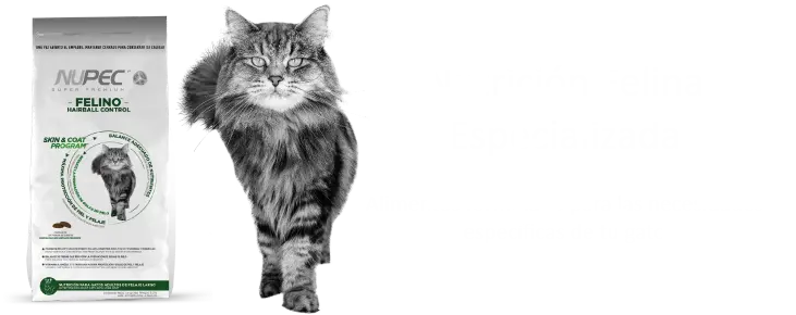 Nutrición Felina Especializada